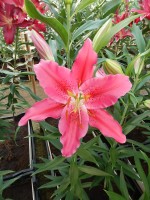 [4358 Bromley DJ No02.JPG]